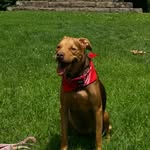 Steve Medling - @stevemedling - Instagram