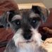 Steve Meece - Facebook