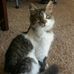Steve Meeker - Facebook