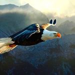 Steve Meeker - @meekersr32 - Instagram