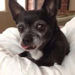 Steve Meidinger - @steve_meidinger - Instagram
