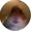 Steve Meisinger - @jacobplays.rl - TikTok