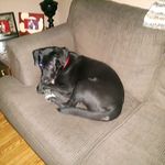 Steve Melnyk - @steve.melnyk1 - Instagram