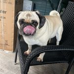 Steve Merrick - @stevemerric - Instagram