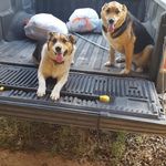 Steve Merrick - @steve.merrick07 - Instagram