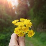 Steve Merrick - @stevemerrick.032 - Instagram