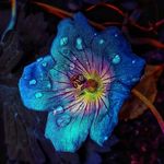 Steve Merrick - @stevemerrick.03 - Instagram
