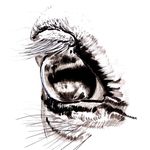 Steve Messenger - @horse_artist_steve_messenger - Instagram