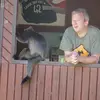 stevemilford8 - @stevemilford8 - TikTok
