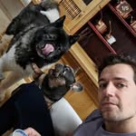 @steve.milton_ - Instagram