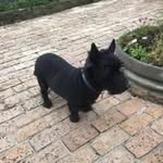 Steve Milton - @steve80259 - Instagram