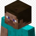 ● steve ● - @steve.mines.the.internet - Instagram