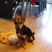 Steven Mines - Facebook