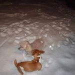 Steve Minor - @minor_steve - Instagram