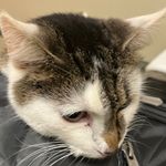 Steve Minor - @steveminorantiques - Instagram