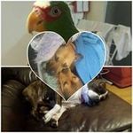 Steve Minor - @steve.minor.752 - Instagram