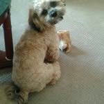 Stephen Murphy - @murphysteve60.mogga - Instagram