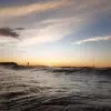 steve_moggmogg - @steve_dxmog - TikTok
