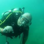 Steve Moggy Morrison - @stevemoggymorrison - Instagram