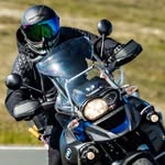 SteveMoggyMorris - @stevemoggymorris - Instagram