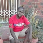 Steve molesi - @molesisteve - Instagram