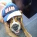 Steve Molinaro - Facebook