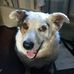 Steve Molnar - Facebook