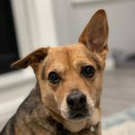 Steve Molnar - @smolnar - Instagram