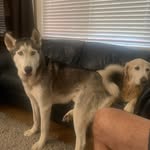 Steve Mooney - @scamooney - Instagram
