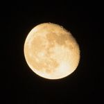 Steve Mooney - @zoomymooney - Instagram