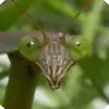 Steve Moran - @steve.moran26 - TikTok