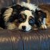 Steve Moran - Facebook