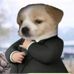 Steve G. Moriarty - Facebook