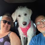 Steve Moriarty - @trucker10457 - Instagram