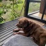 Steve Moriarty - @stevemoriarty8 - Instagram