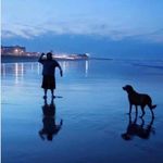 Steve Mosher - @smosher99999 - Instagram