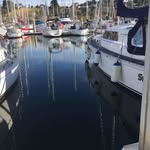 Steve Murdoch - @smurd1 - Instagram