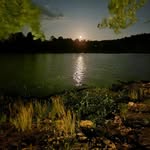 Steve Murphree - @mursmurf - Instagram