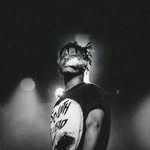 Steve Nathan - @stv_nthn - Instagram