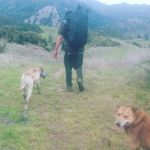 Steve Nathan - @steve.nathan.581 - Instagram