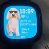 Steven Au - @stevenau95 - TikTok