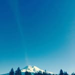 Steve Neel - @steveneel15 - Instagram