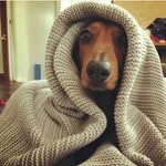 steven Elliott - @steveneelliot26 - Instagram