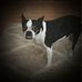 Steven Nephew - Facebook