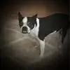 Steven Nephew - @steven.nephew - TikTok