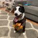 Steve Neu - Facebook