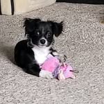Steve Neufeld - @sneuf1 - Instagram