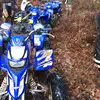 Steve New - @steve.new - TikTok