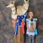 Steve Newcombe - @stevenewcombe_taxidermist - Instagram