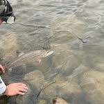 Steve Nickerson - @scuba_98 - Instagram